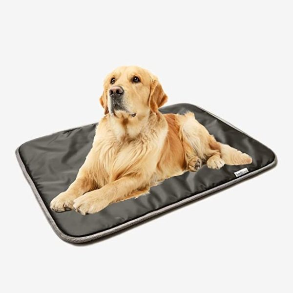 Magnetic Pet Pad Hot on Sale