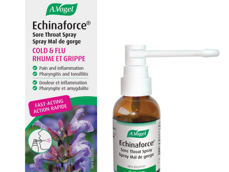 A.vogel - echinaforce sore throat spray duo 30 ml x 30 ml Online