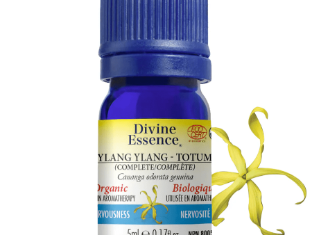 Divine essence - ylang ylang totum organic For Sale