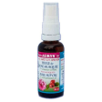 Aurys - rosehip oil from chile spray Cheap