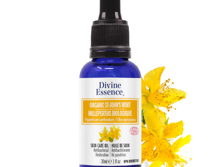 Divine essence - st. john s wort oil For Sale