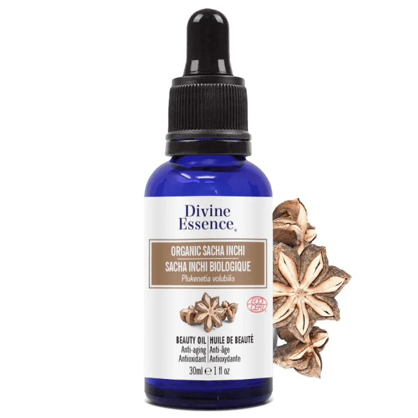 Divine essence - organic sacha inchi beauty oil Supply