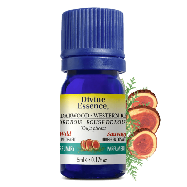 Divine essence - cedarwood red western wild Sale