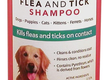 Durvet - Flea And Tick  D - No-bite Flea & Tick Shampoo Sale