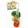 Ware Mfg. Inc. Bird sm An - Carnival Crops Fiesta Flowers For Cheap